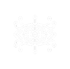 Our Vision